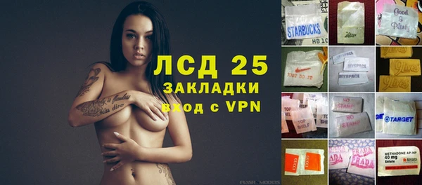 дмт Алзамай