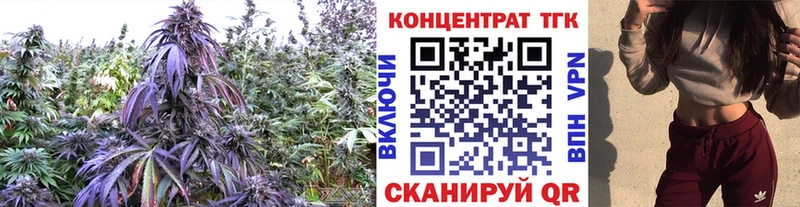 ТГК концентрат Белгород